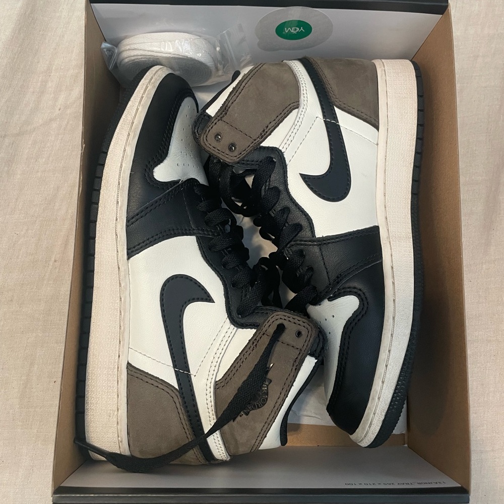 Nike Jordan 1 Mochas
